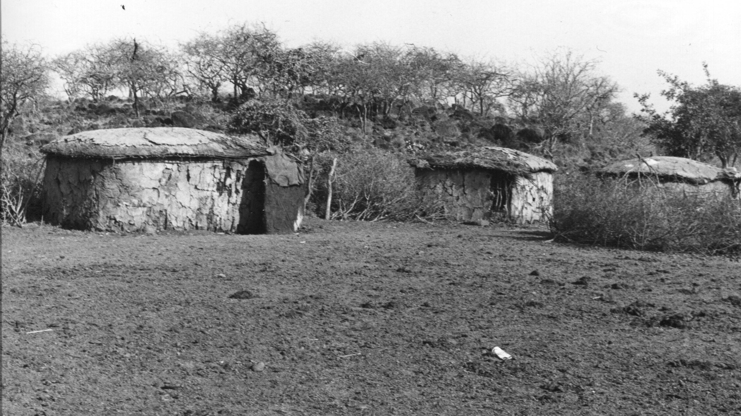 Lehmhäuser der Massai in Kenia Foto: C. Perincioli